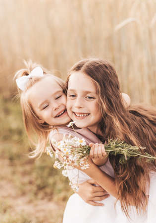 Two little girls collect spikelets in a wheat fieldの写真素材