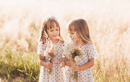 Two little happy identical twin girls playing together in nature in summer. Girls friendship and youth concept. Active children's lifestyle.の写真素材