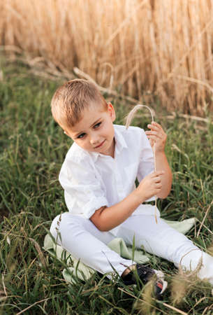 A small handsome boy blonde in a white shirt and white pants in nature in the summer. Happy childhood. Positive emotionsの写真素材