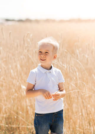 Little boy walking through the field in the summer. Childhood. Summertime. Summer vacationの写真素材