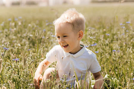 Little boy walking through the field in the summer. Childhood. Summertime. Summer vacationの写真素材