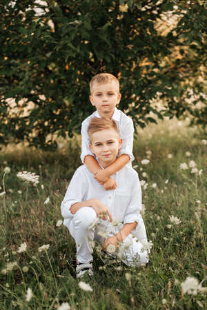Two little boy brothers play and walk in nature in the summer. Happy childhood. Positive emotionsの写真素材