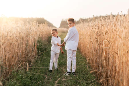 Two little boy brothers play and walk in nature in the summer. Happy childhood. Positive emotionsの写真素材
