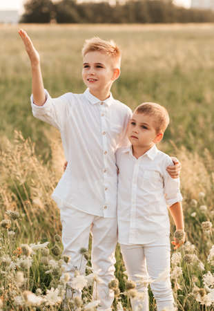 Two little boy brothers play and walk in nature in the summer. Happy childhood. Positive emotionsの写真素材