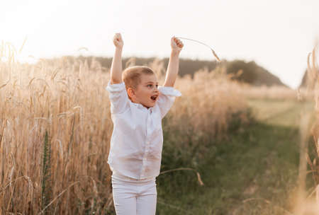 Two little boy brothers play and walk in nature in the summer. Happy childhood. Positive emotionsの写真素材