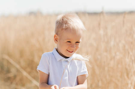 Little boy walking through the field in the summer. Childhood. Summertime. Summer vacationの写真素材
