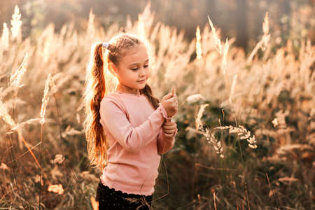 Portrait of a little girl on the background of the autumn park.の写真素材