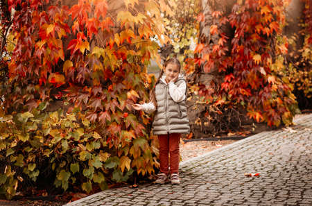 pretty little girl resting in autumnal parkの写真素材