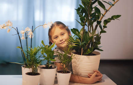 Adorable little girl is watering the plant in the pots at home, concept of plant growing learning activity for preschool kidの写真素材