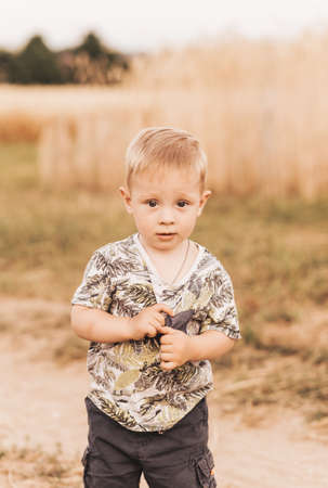little boy play and walk in nature in the summer. Happy childhood. Positive emotionsの写真素材