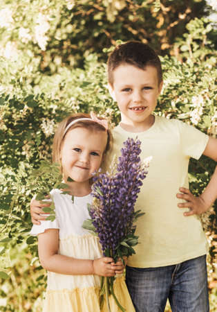 Little girl and boy with flowers in the field. The baby is holding a bouquet of lupines in her hands. A child in the middle of a field collects a bouquet of flowers.の写真素材