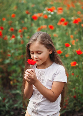 Little longhaired girl posing at field of poppies with on summer sun.の写真素材
