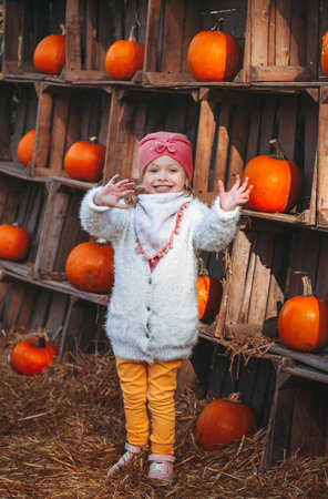 a little girl is standing around many large and small pumpkins in farmの写真素材