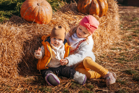 Happy children at pumpkin farm during Halloween, little girl in and baby boy having fun together in...