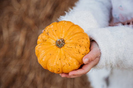 little girl holding a pumpkin in her hands close-upchoose a pumpkin for Halloween in the garden.の写真素材
