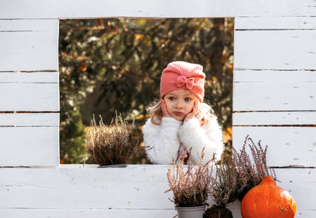 Autumn harvest of pumpkins. Child and orange pumpkin at farm market or seasonal festival. Cute little girl playing among pumpkins. Thanksgiving holiday season and Halloween.の写真素材