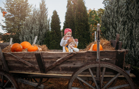 Happy children at pumpkin farm during Halloween, little girl in and baby boy having fun together in sunny dayの写真素材