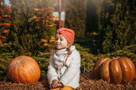 Autumn harvest of pumpkins. Child and orange pumpkin at farm market or seasonal festival. Cute little girl playing among pumpkins. Thanksgiving holiday season and Halloween.の写真素材