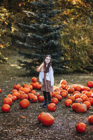 Autumn harvest of pumpkins. Child and orange pumpkin at farm market or seasonal festival. Cute little girl playing among pumpkins. Thanksgiving holiday season and Halloween.の写真素材