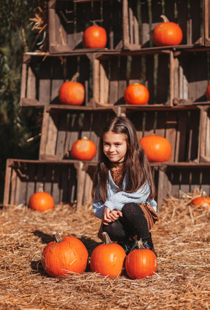 Autumn harvest of pumpkins. Child and orange pumpkin at farm market or seasonal festival. Cute little girl playing among pumpkins. Thanksgiving holiday season and Halloween.の写真素材