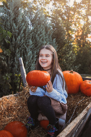 Autumn harvest of pumpkins. Child and orange pumpkin at farm market or seasonal festival. Cute little girl playing among pumpkins. Thanksgiving holiday season and Halloween.の写真素材
