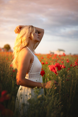 young beautiful blonde woman in white dress in poppy field at sunset. Woman and natureの写真素材