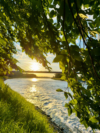 River landscape at sunset in summer