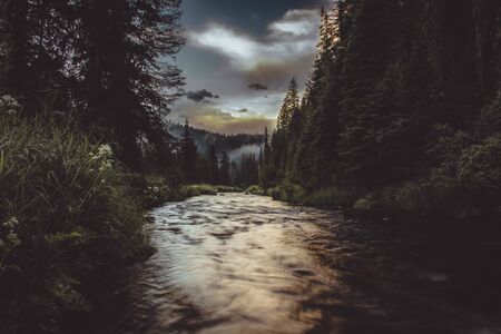 Small mountain creek in the forest. Dramatic image.の写真素材