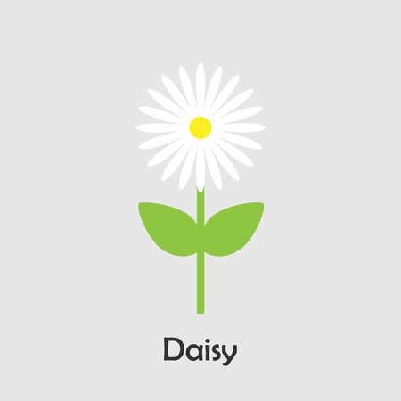 Daisy in cartoon style, spring card for kid, preschool activity for children, vectorのイラスト素材