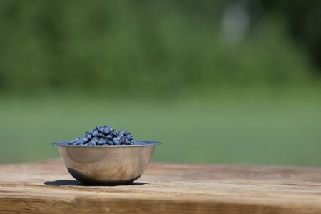Ripe organic honeyberry in bowl. Fresh honeysuckle berries harvest from berry farm with copyspaceの写真素材
