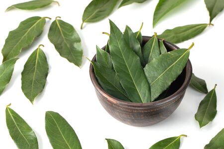 Fresh bay leaves on white. Laurel, Laurus nobilis leaves background