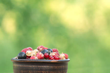 Ripe organic berry in bowl. Fresh assorted berries harvest from berry farm with copy space