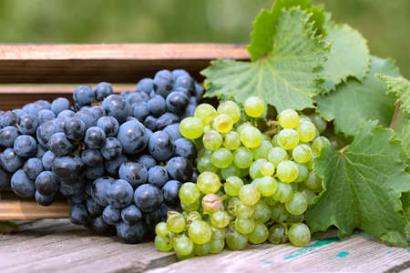 Bunch of blue and green grapes in wooden box on wooden tableの写真素材