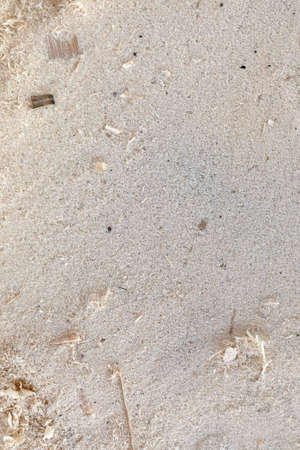 Sawdust or wood dust texture background. Top view. Vertical