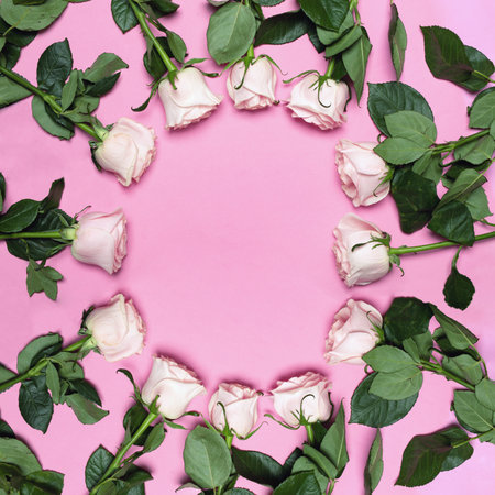 Pink roses lie in circle on pink background top view. Copy space for text, greeting card template or invitationの写真素材