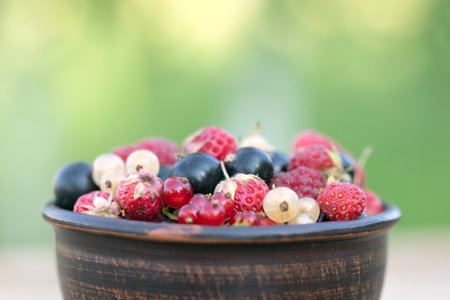 Mix of fresh berries on rustic wooden table against background of nature of garden with copyspace