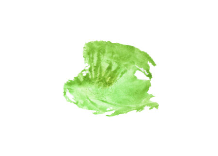 Green abstract ink or watercolour stain with uneven edges of watercolor paint on whiteの写真素材