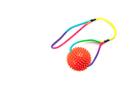 Dog toy. Ball with colorful cotton rope for games isolated on white background with copy space.の写真素材