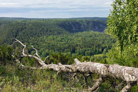 Green valley rural countryside panoramic landscape with forest trees expanse and mountain hills....