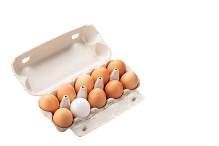 brown eggs and among them one white egg in carton box isolated on white. Concept of rejection,...