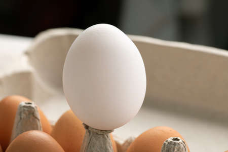 One excellent white egg rises above other mediocre brown eggs. concept of racism, intolerance, denial of society.の写真素材