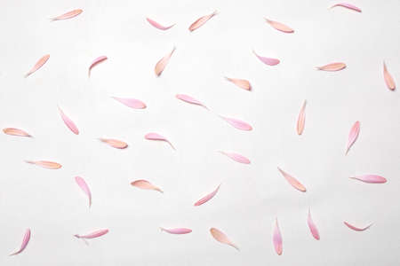 Delicate romantic floral background with scattering of pink petals on white surface. Floral template for photography of jewelry, perfume, cosmetic, bathroom accessories. Print for clothes and bags.の写真素材