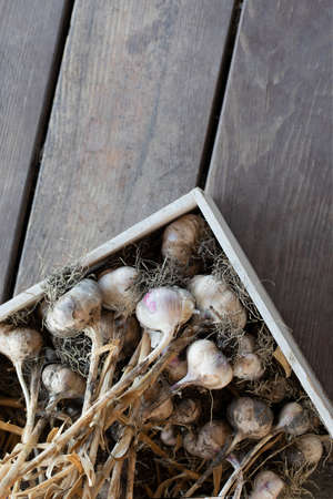 Garlic cloves in wooden box at farmer market on wooden background. Top viewの写真素材