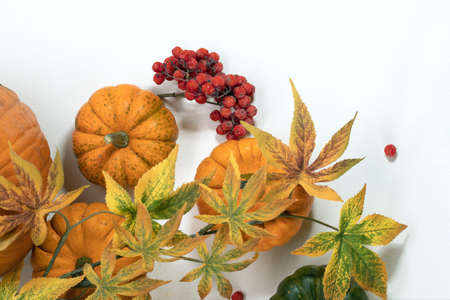 Autumn leaves, small decorative pumpkins with red berries on white table, can be used for making various crafts.  In autumn we celebrate Halloween carving jack-o-lantern pumpkins and setting mood for trick-or-treaters.の写真素材