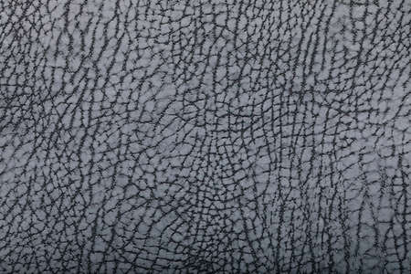 Light gray, silver leather fullframe texture closeup macro.の写真素材