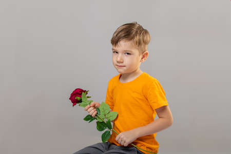 Photography of 5 years boy is smelling a red rose in a studio on gray backgroundの写真素材