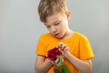 handsome boy with rose flower in hands. copyspace.の写真素材
