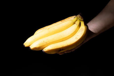 Man hand holds bunch of ripe bananas on black backgroundの写真素材