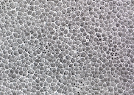 Gray polystyrene foam board background. Details of foam sheet texture