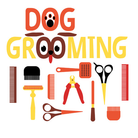 A set of tools for grooming. Flat design. Colorful colors. Humorous form. Lettering. For banners, web, postersのイラスト素材